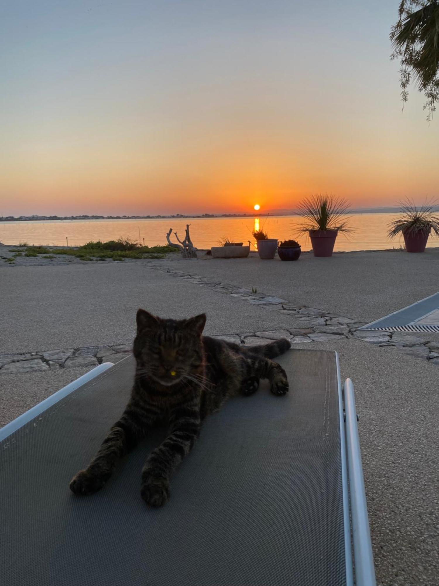 Les Pieds Dans L'Eau Bed and Breakfast Σετ Εξωτερικό φωτογραφία